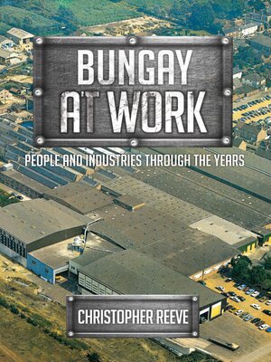cover image of Bungay at Work